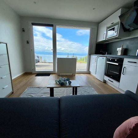 Les Vies En Rose Apartment เอวิยงเลบานส์ ภายนอก รูปภาพ