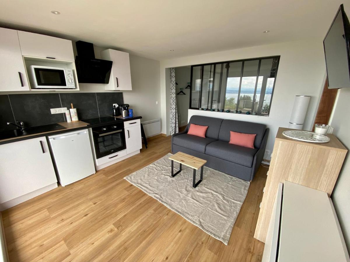 Les Vies En Rose Apartment เอวิยงเลบานส์ ภายนอก รูปภาพ